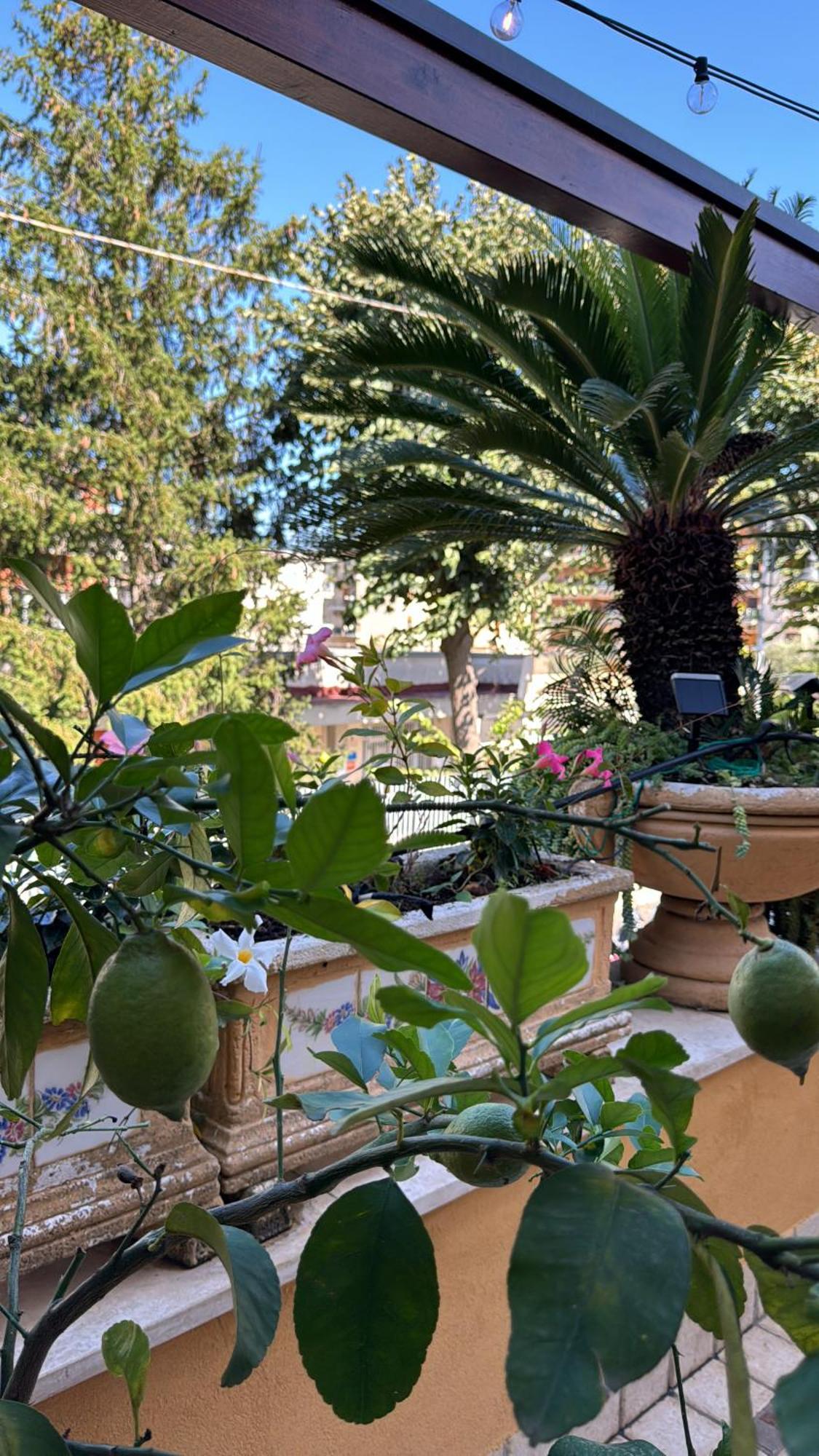Relais Terrace&relax Bed and breakfast *